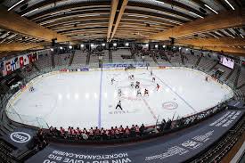 Image result for Ice Hockey International