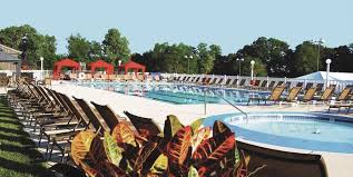 Image result for Chesterfield Swimming Club