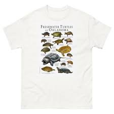 Attēlu rezultāti vaicājumam “Reticularia sp.”