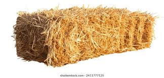 Image result for 붶