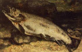 Image result for Salmo marmoratus