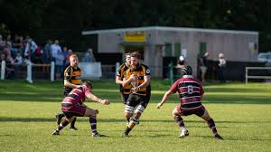 Image result for Ipswich Rfc