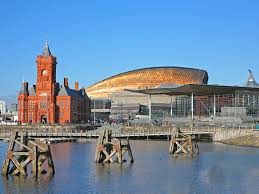 Image result for Cardiff Capitals