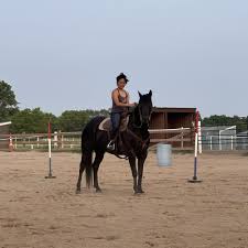 Image result for Annandale Equestrian Centre