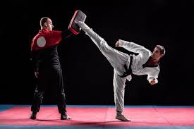Image result for COMBAT TAEKWONDO