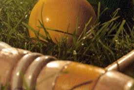 Image result for Bury Croquet Club
