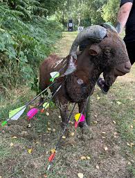 Image result for Long Eaton Field Archery Club