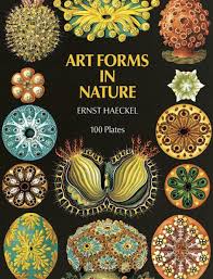 Image result for ernst haeckel
