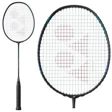 Image result for Beginners and Intermediate Badminton