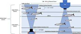 Image result for Coregonus artedi