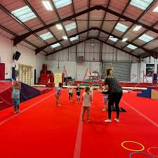 Image result for South Essex Gymnastics Club