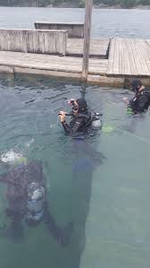 Image result for Blue Water Diving