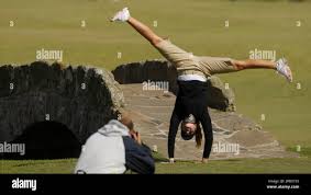 Image result for Cartwheels Gc