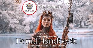 Image result for druid