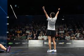 Image result for Wimbledon Racquets & Fitness Club Badminton Club