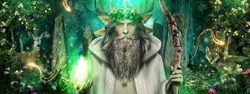 Image result for druid
