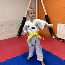 Image result for INTERNATIONAL HAPKIDO TAMWORTH