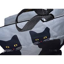 Image result for Black Cat Sac