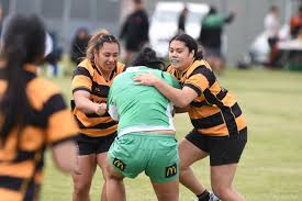 Image result for Wellington Rugby Football Club Limited