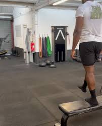 Image result for Calibre Performance Coaching