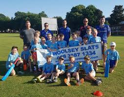 Image result for City Of Armagh Cricket Club