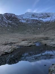 Attēlu rezultāti vaicājumam “Bryum weigelii”