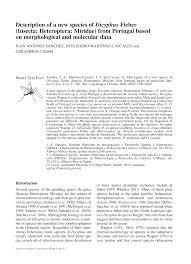 Attēlu rezultāti vaicājumam “Dicyphus sp.”