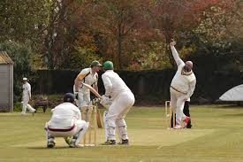 Image result for Long Sutton Cricket Club