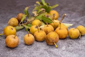 Attēlu rezultāti vaicājumam “Pyrus pyraster”