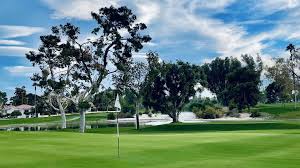 Image result for Avondale Gc