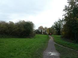 Image result for example