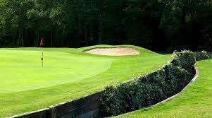 Image result for Leatherhead Lawn Tennis Club