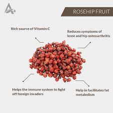 Attēlu rezultāti vaicājumam “Rosa villosa fruit”