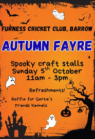 Image result for Furness Cricket Club