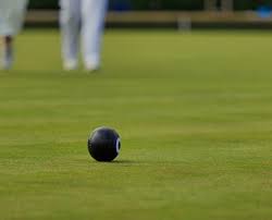Image result for Dudley Dell Bowling Club