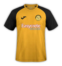 Image result for Merstham Football Club