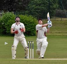 Image result for Buscot Park Cricket Club