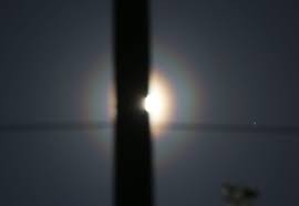 Attēlu rezultāti vaicājumam “pollen corona”