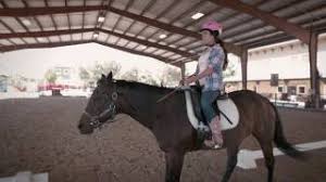 Image result for Shey Copse Riding Centre