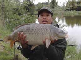 Image result for Becmain Angling Society