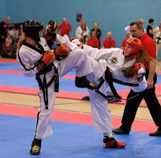 Image result for Taekwondo Witney