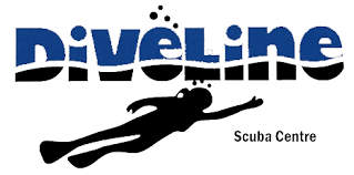 Image result for Diveline