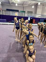Image result for East Staffs Gymnastics Club