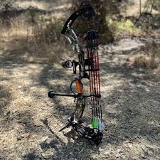 Image result for Lionheart Company Of Bowmen