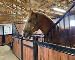 Image result for Old Park Riding Stables