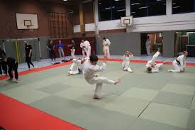 Image result for Jsc Judo Club