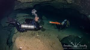 Image result for Headstream Divers
