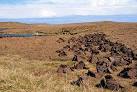 Peat is a fossil fuel which, when dried, will burn on an open fire. - via Daymix