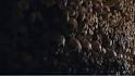 the skulls") is a small, - via Daymix