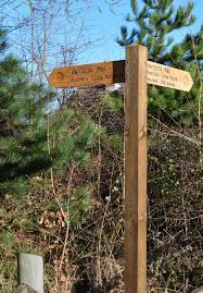 Image result for Breckland Forest Gymnastics Club 2004